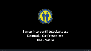 Un sumar al intervențiilor televizate Radu Vasile